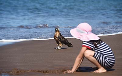 Activities Slide Bonita Yacht - Galaxy Cruises Cruises