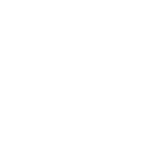 Shark icon- Galaxy Cruises