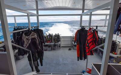 Activity Slide Galaxy Diver III - Galaxy Cruises