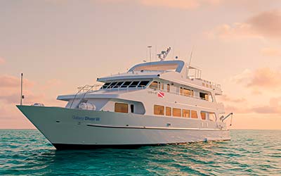 Exterior Slide Galaxy Diver III - Galaxy Cruises