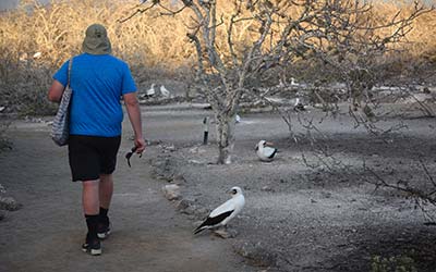 Activities Slide Galaxy Yacht- Galaxy Cruises Cruises