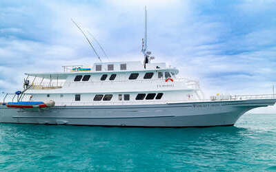 Exterior Slide Galaxy Orion - Galaxy Cruises