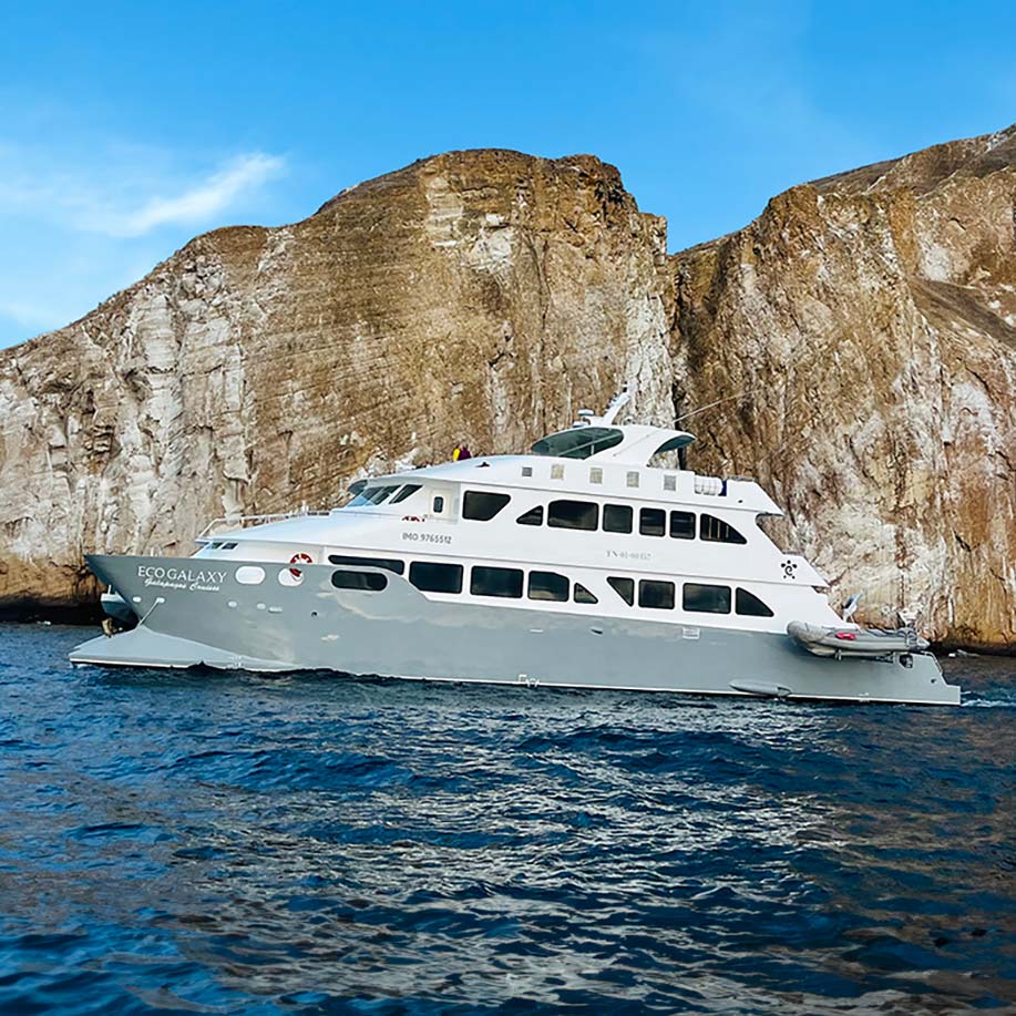 EcoGalaxy Catamaran - Galapagos Cruise