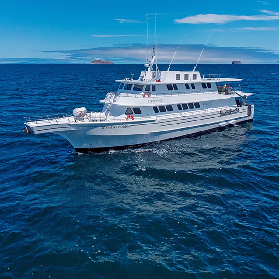 Orion Yacht - Galapagos Cruise